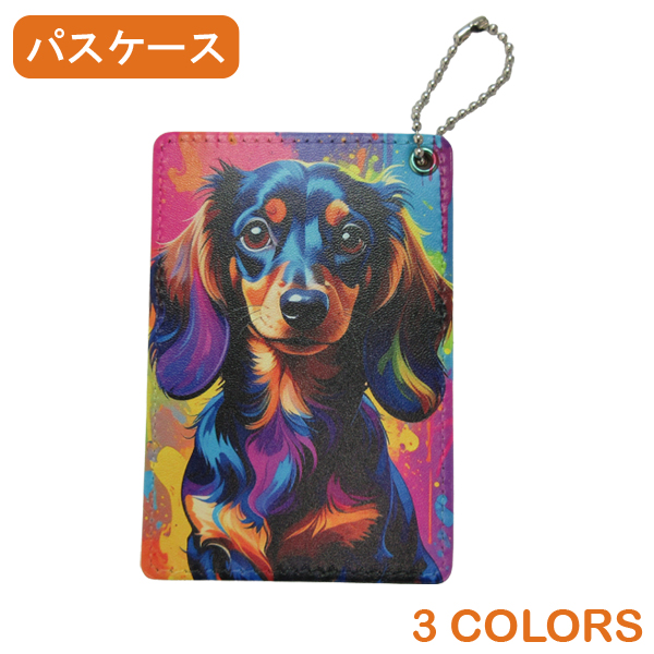 パスケース (CDC01)