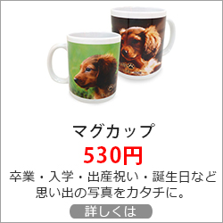 オリジナル マグカップ