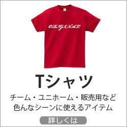 オリジナル ドライTシャツ